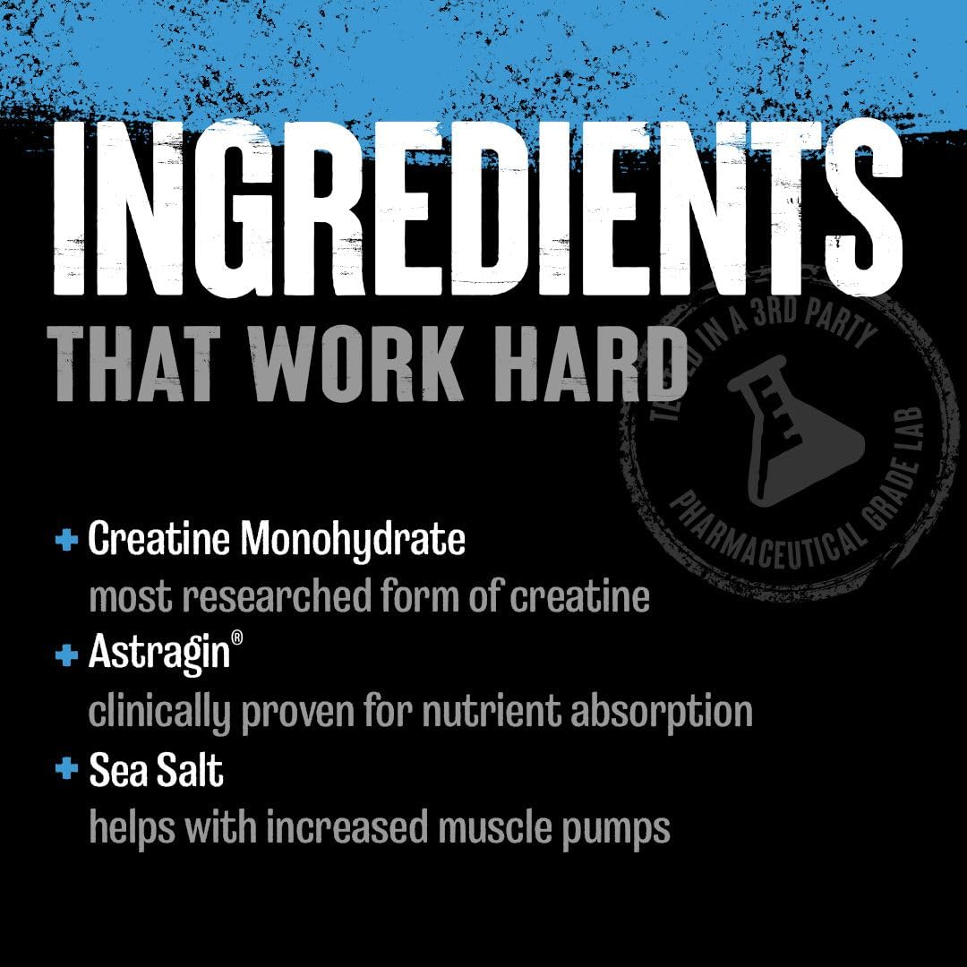 Animal Creatine Chews Tablets - Enhanced Creatine Monohydrate with AstraGin to Improve Absorption, Sea Salt for Added Pumps, Delicious and Convenient Chewable Tablets - Fruit Punch