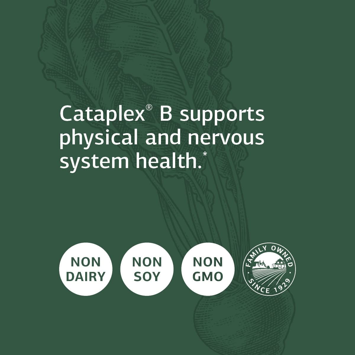 Standard Process Cataplex B - Whole Food Formula with Niacin, Vitamin B6, Thiamine, and Inositol for Heart Health, Metabolism, and Cholesterol Maintenance - 180 Tablets